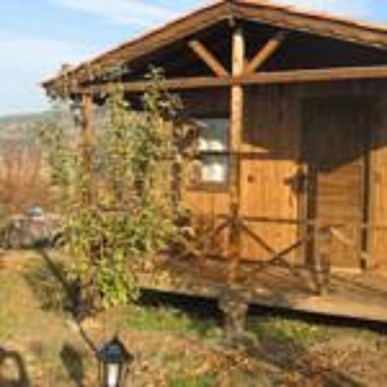 Gasthaus Salkim Konak Ve Agac Evler Selçuk Zimmer foto