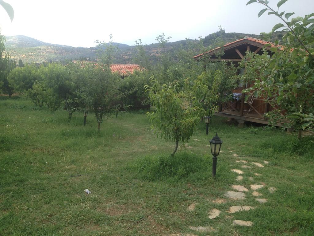 Gasthaus Salkim Konak Ve Agac Evler Selçuk Zimmer foto