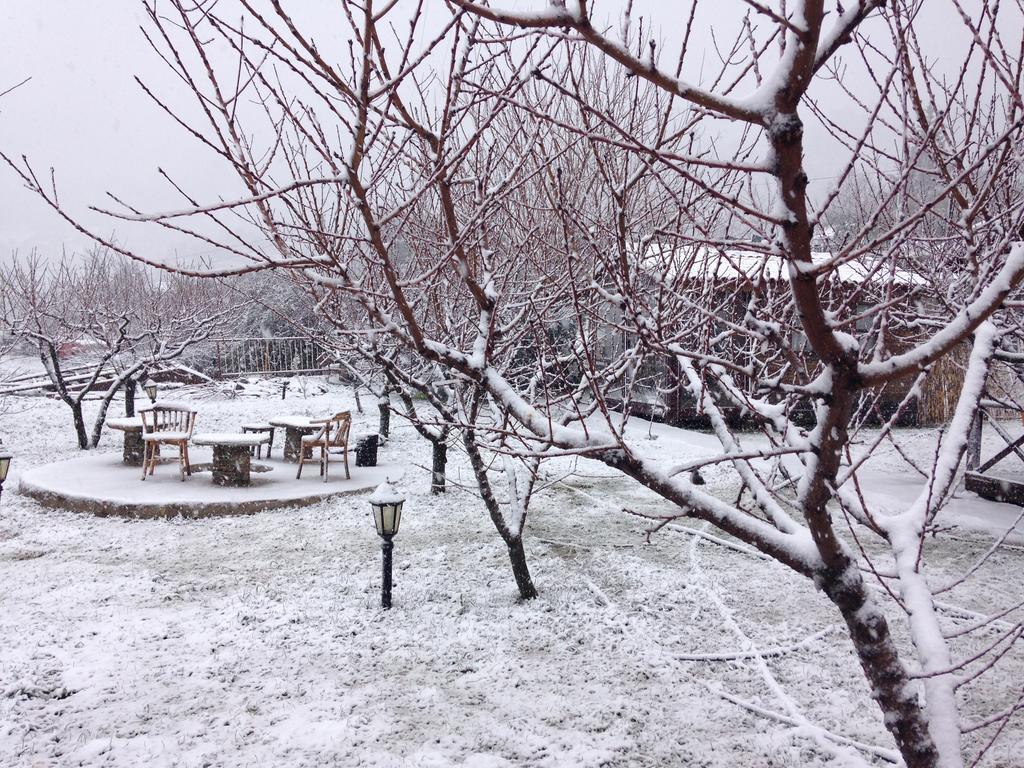 Gasthaus Salkim Konak Ve Agac Evler Selçuk Exterior foto