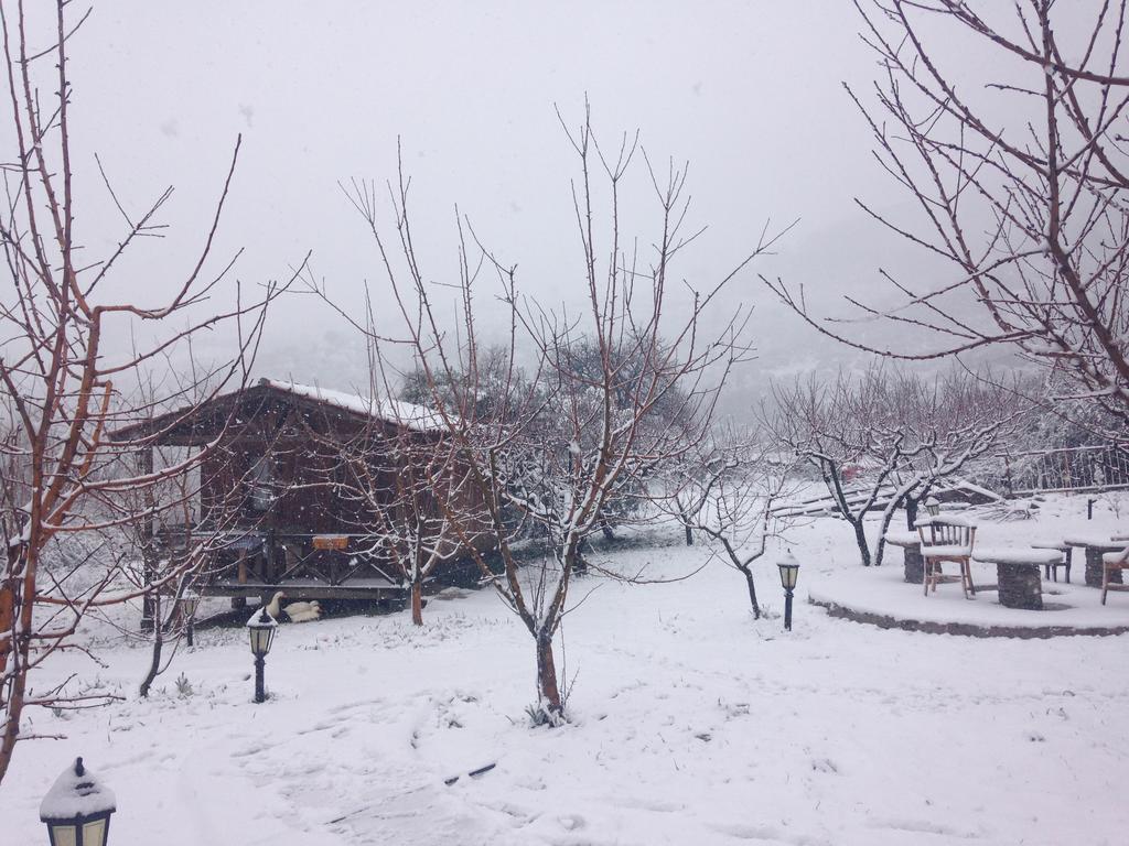 Gasthaus Salkim Konak Ve Agac Evler Selçuk Exterior foto