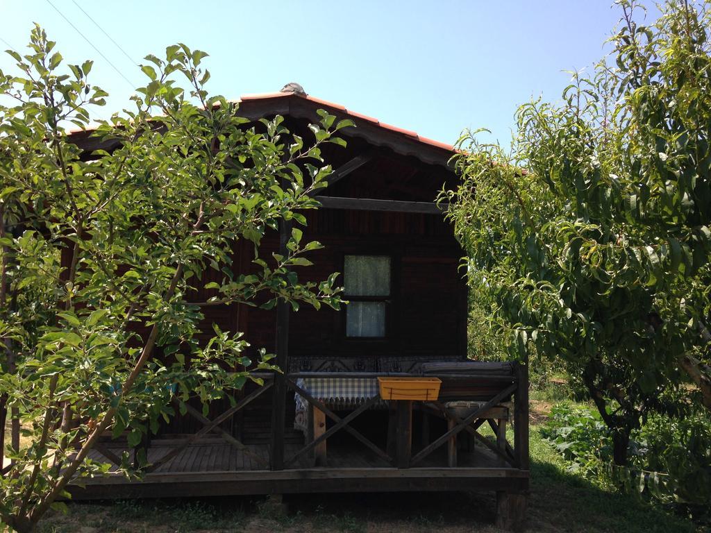 Gasthaus Salkim Konak Ve Agac Evler Selçuk Exterior foto