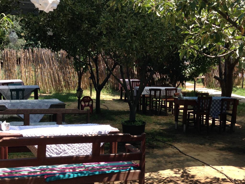 Gasthaus Salkim Konak Ve Agac Evler Selçuk Exterior foto