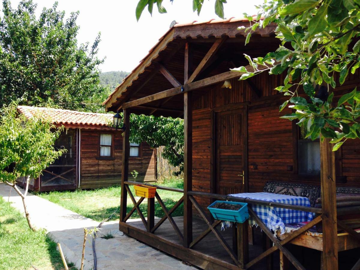 Gasthaus Salkim Konak Ve Agac Evler Selçuk Exterior foto